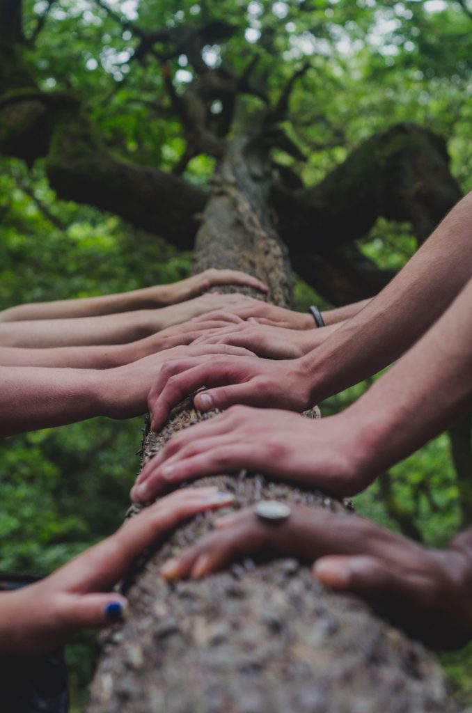Hands on a branch | Featured Image for Myths About Addiction and Rehab blog on Hills & Ranges Melbourne.